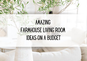 farmhouse living room ideas on a budget